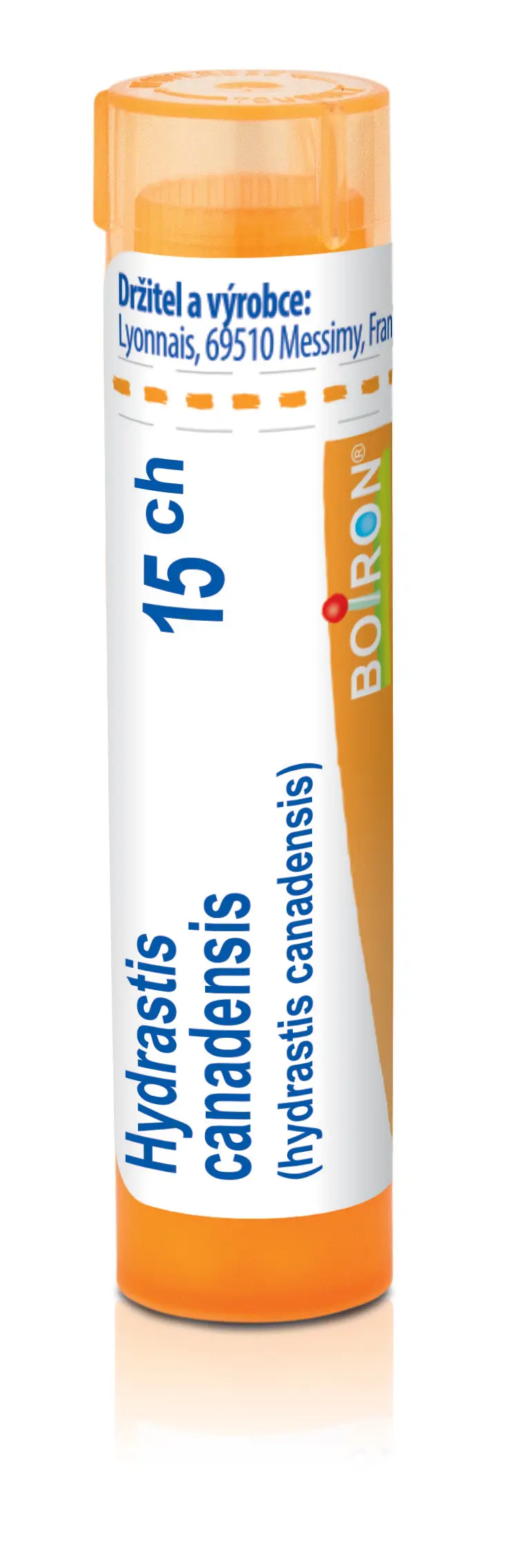 2969_HYDRASTIS CANADENSIS 15